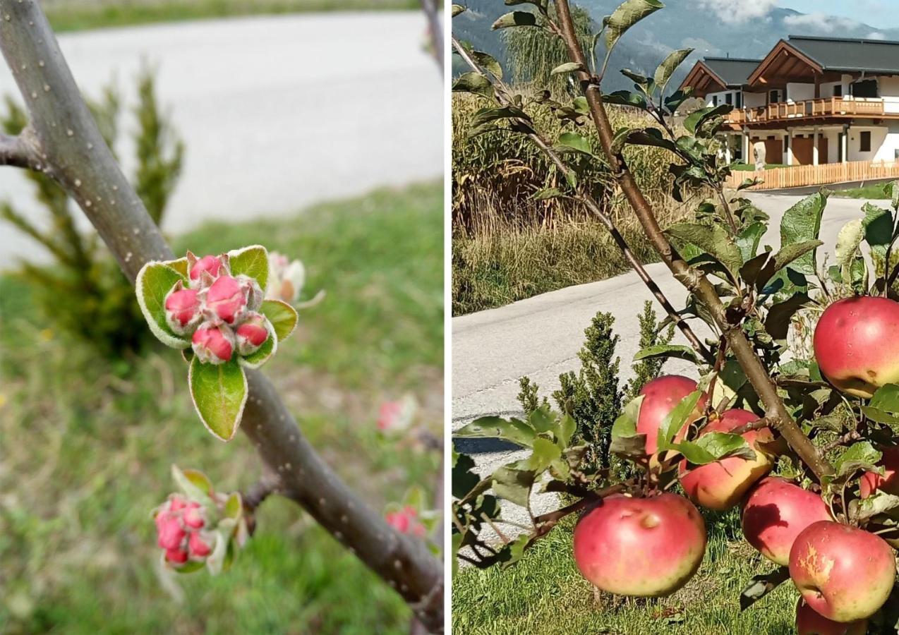 Malvasia Apart Lägenhet Stumm Exteriör bild
